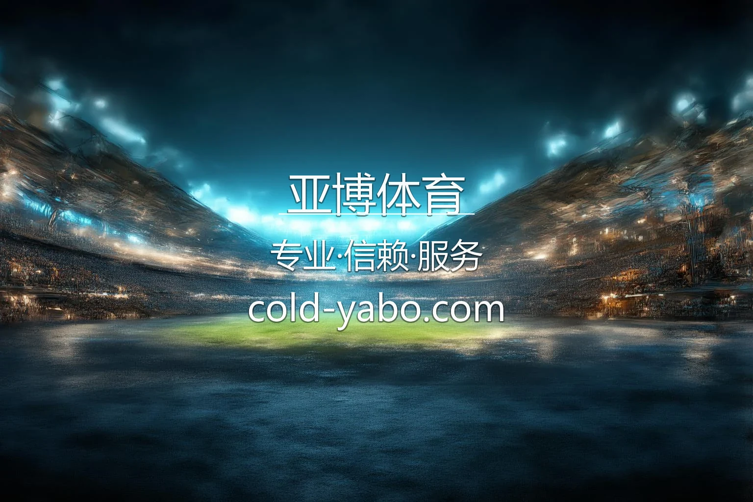 亚博体育官网精彩实况